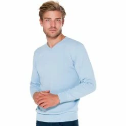 French Denim Pull col V basique Pulls & Gilets